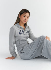 wide-collar-zip-up-sweatshirt-co311 / Gray