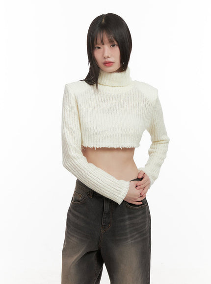 turtle-neck-cropped-sweater-cd426