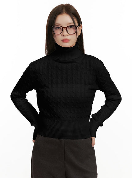 cable-knit-turtleneck-sweater-on422 / Black