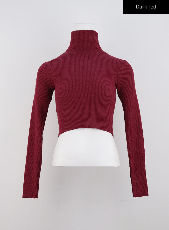 crop-turtle-neck-sweater-cd301 / Dark red