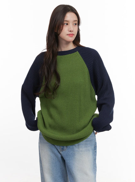 Cozy Knit Contrast Sweater CJ514