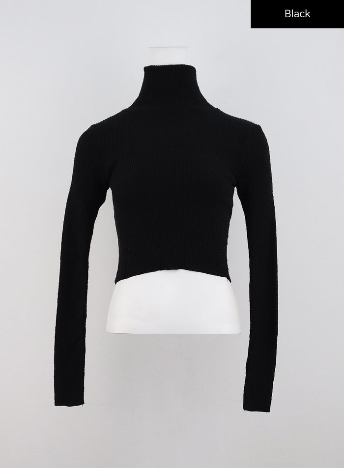 crop-turtle-neck-sweater-cd301 / Black
